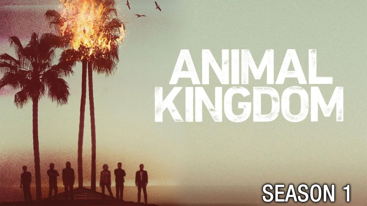 مسلسل Animal Kingdom الموسم الاول الحلقة 7 السابعة مترجمة