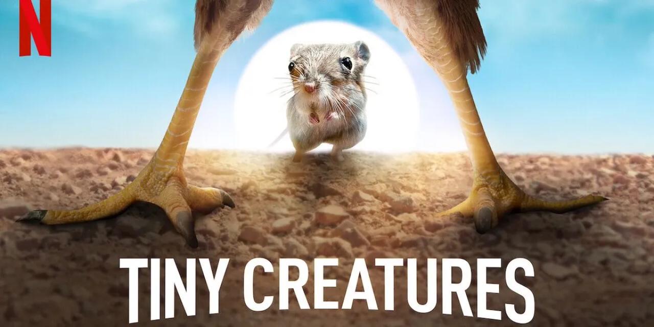 مسلسل Tiny Creatures