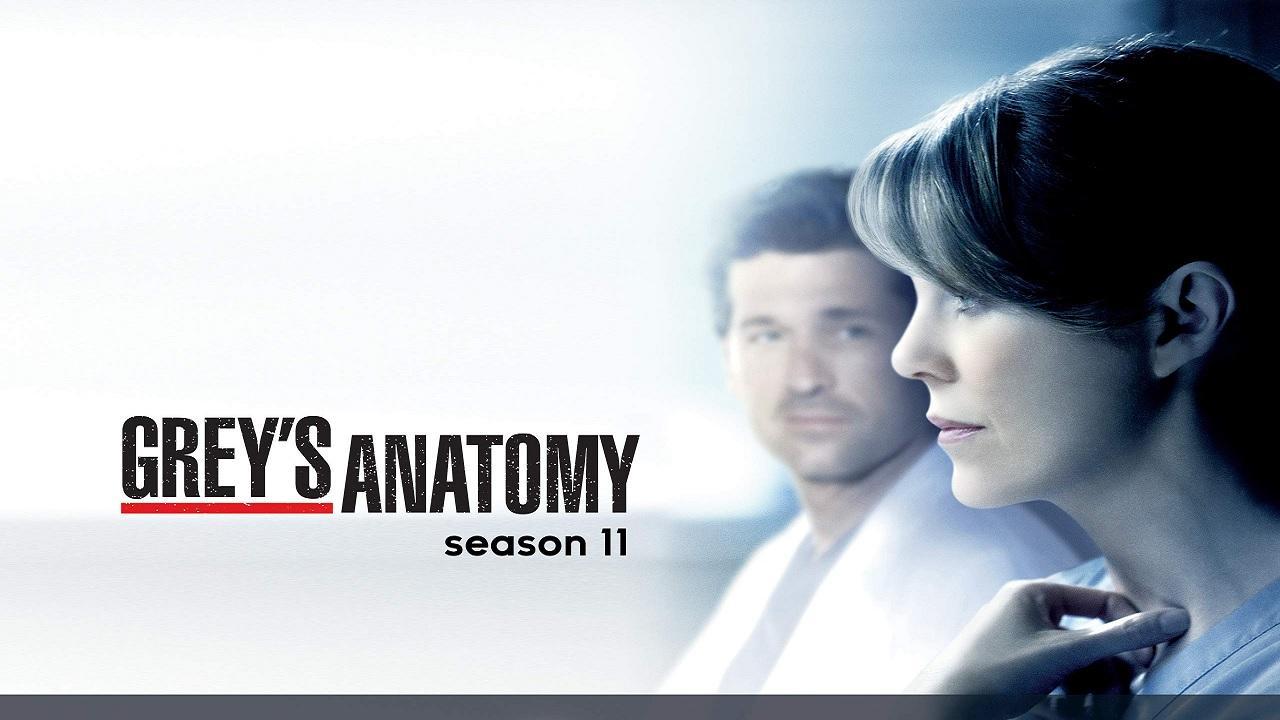 مسلسل Grey's Anatomy الموسم 11 الحلقة 6 السادسة مترجمة